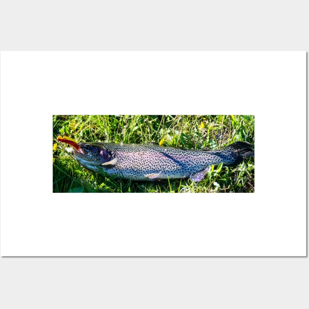 41617 trout Wall Art by pcfyi